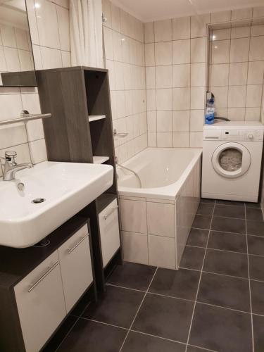 绍纳赫格斯塔斯祖尔施塔特特里贝格宾馆的一间带水槽和洗衣机的浴室