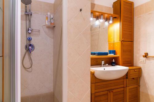 里奥内莱尔巴Appartamento La Via del Mare的一间带水槽和淋浴的浴室