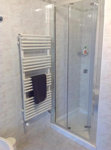 拉伊韦斯VILLA ROOMS的带淋浴的浴室和玻璃门