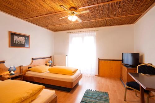 雷根斯堡Hotel Hottentotten的一间卧室配有两张床和一台平面电视