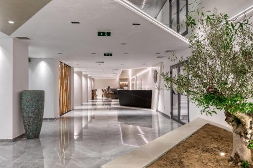 伊西翁LAS HOTEL & SPA的一条带白色墙壁的走廊和种植了植物的大堂