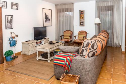 阿霍Casa Santa Ana的带沙发和电视的客厅