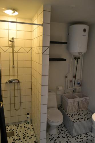 奥特鲁普Vilstruplund的一间带卫生间和淋浴的小浴室