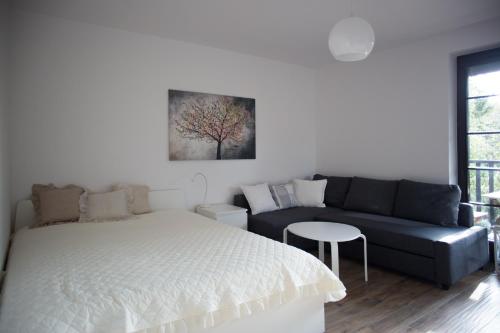 卡齐米日-多尔尼Apartament Kameralny的一间卧室配有一张床和一张沙发