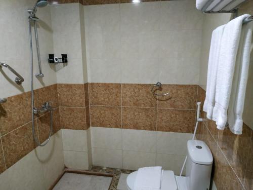 麦加Sultan Hotel的带淋浴、卫生间和淋浴的浴室