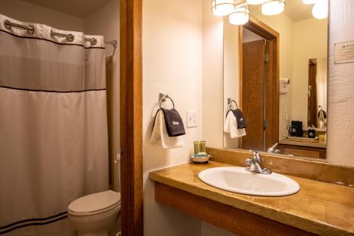 姐妹湾Open Hearth Lodge的一间带水槽、卫生间和镜子的浴室
