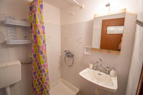TartiAsmanis Rooms的一间带水槽和淋浴帘的浴室