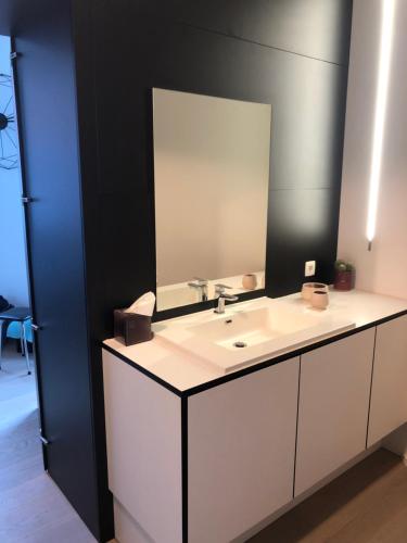 登德尔蒙德Molenstraat的浴室设有白色水槽和镜子