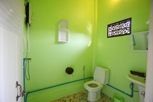 皮皮岛红图娜酒店的绿色浴室设有卫生间和水槽
