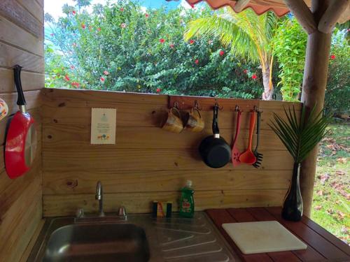 蒙特苏马Soul Fire Casitas的厨房设有水槽和窗户。