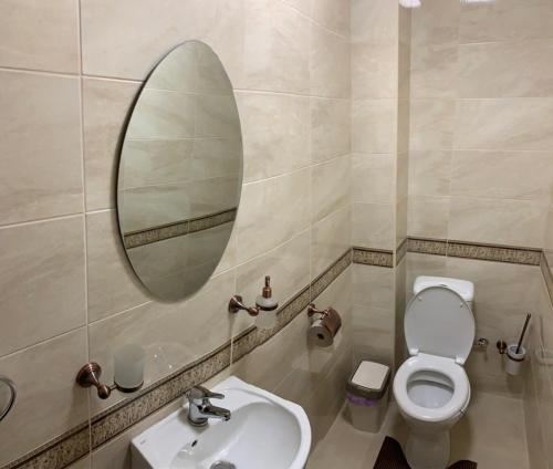 乌日霍罗德Forsage Hostel的一间带卫生间、水槽和镜子的浴室