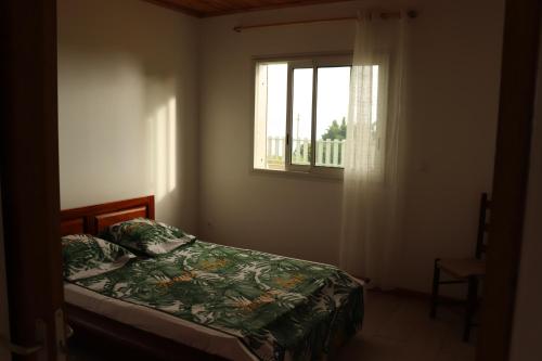 圣若瑟Gîte des Dodos的一间卧室设有一张床和一个窗口