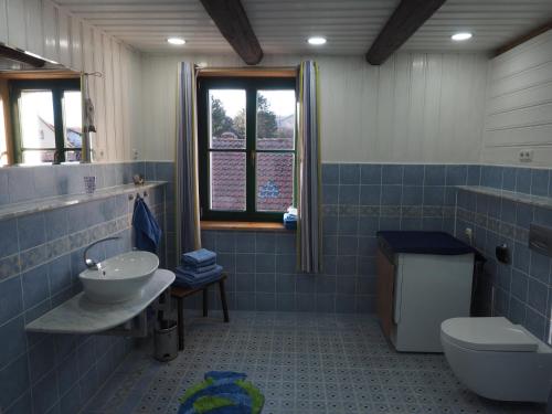 DarlingerodeSchöne gemütliche Ferienwohnung mit Kamin II im Harz的蓝色瓷砖浴室设有水槽和卫生间