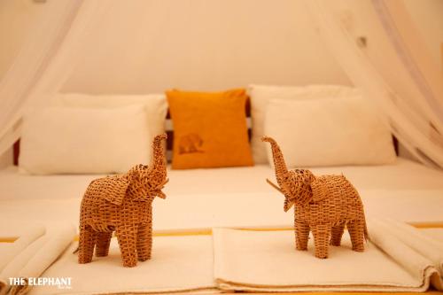 达瓦拉维The Elephant Next-Door的两只玩具大象站在床顶上