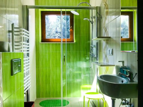 LaskowaOSADA WASYLÓWKA的绿色浴室设有水槽和淋浴