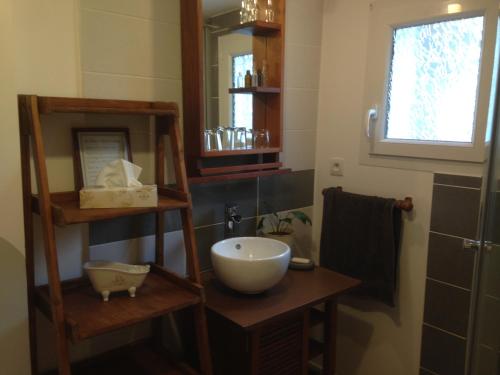 拉瓦勒Chambre d'Hôtes Hola的一间带碗水槽和镜子的浴室