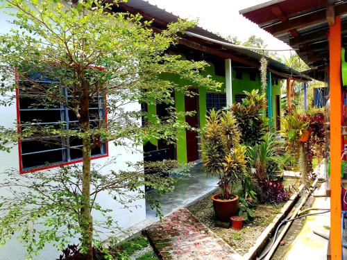 峇都丁宜Tony’s Guesthouse at Teluk Bahang的一座植物和树木繁多的建筑