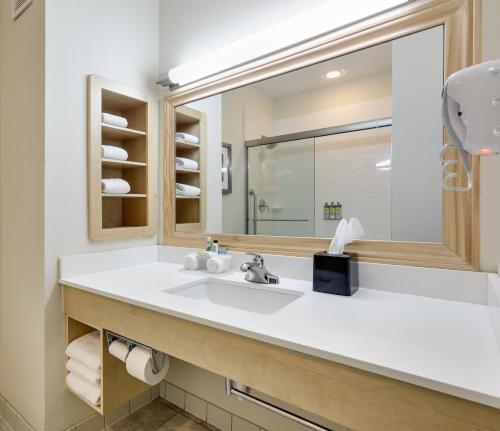 Holiday Inn Express & Suites San Antonio Brooks City Base, an IHG Hotel的一间浴室