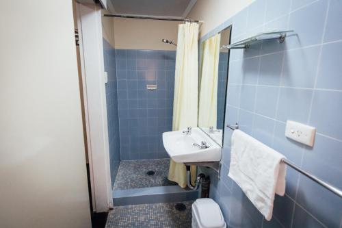 杰斯蒙Shortland Budget Accommodation的蓝色的浴室设有水槽和淋浴