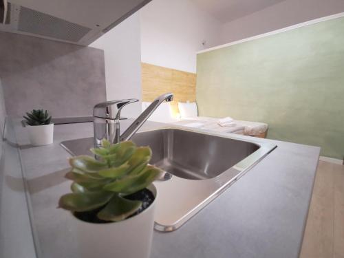 米兰Modern Studio Apartments的厨房水槽旁边是盆栽植物