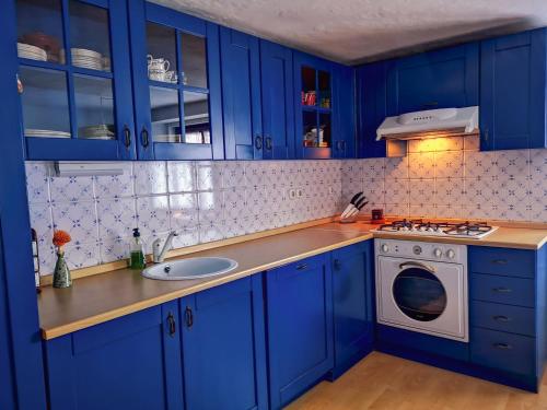 克拉尼斯卡戈拉Kranjska Gora Family Break的蓝色的厨房设有水槽和洗衣机