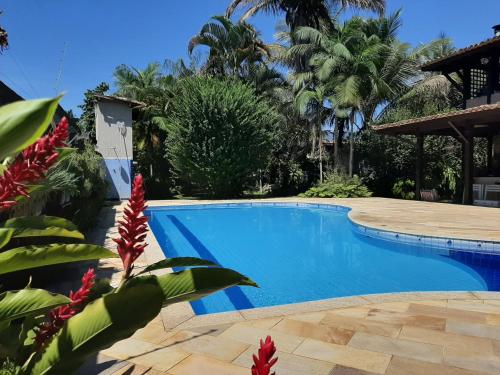 帕拉蒂Casa Pomar do Aconchego的棕榈树度假村内的游泳池