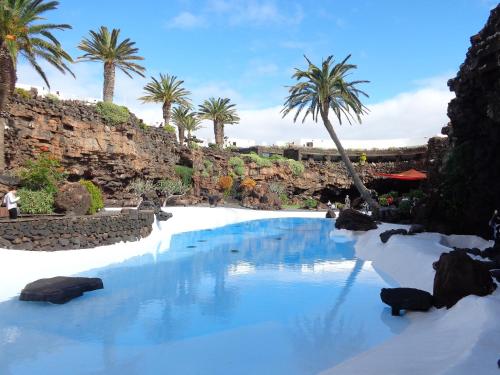 奥尔索拉奥祖拉公寓的一座拥有蓝色海水和棕榈树的游泳池