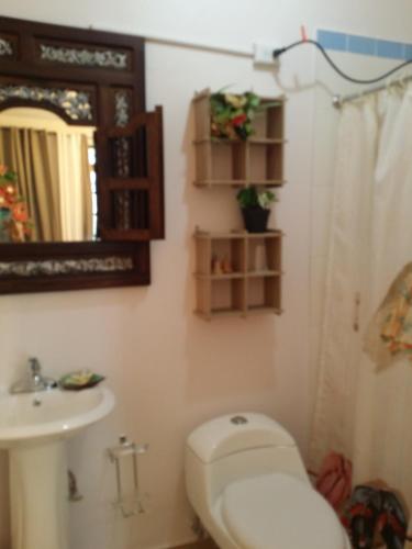 拉帕尔格拉Casa Bonita Inn的一间带卫生间、水槽和镜子的浴室