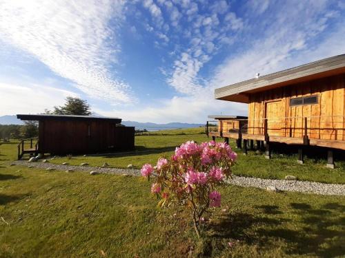 比亚里卡Karibuni - Familiar Lodging & Private Spa的田野上的木舱,花粉色