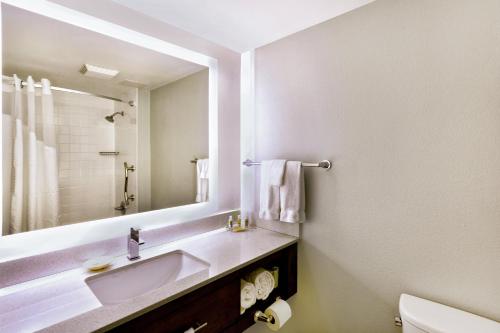 迈阿密西机场区假日酒店的一间浴室