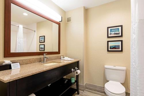 派恩布拉夫Comfort Inn & Suites Pine Bluff的浴室设有卫生间和带镜子的盥洗盆