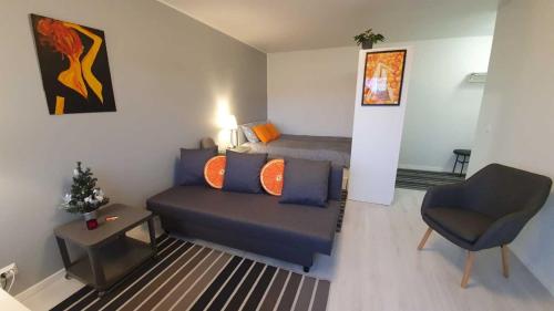 哈米纳Hamina Orange Apartments Kadetti 2的客厅配有沙发和1张床