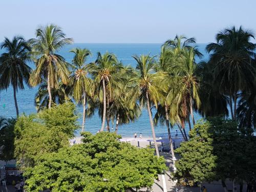 圣玛尔塔Apartamentos Playa Rodadero的享有棕榈树海滩和大海的景色