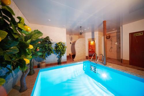 沃罗涅什Hotel Uyut的一座大型游泳池,位于带房子的房间里