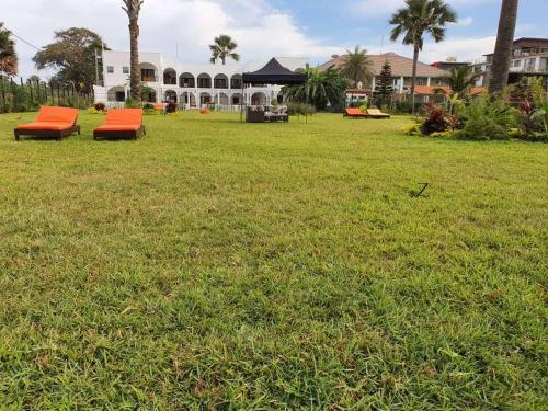 班珠尔Harmony Resort Boutique Hotel的两个橘色长椅,坐在草地上
