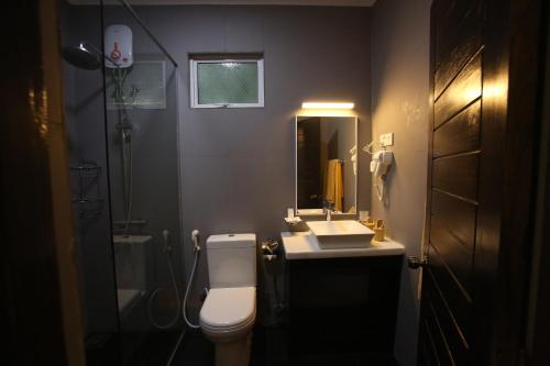 亭可马里Blue Sand Beach Resort的一间带卫生间、水槽和镜子的浴室