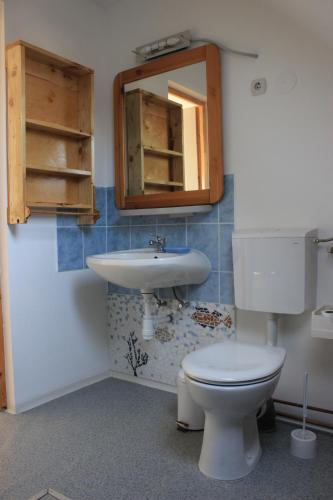 ReziA Kert Apartman的一间带卫生间、水槽和镜子的浴室