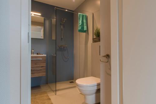 豪滕乔恩！豪滕乌得勒支城市阁楼公寓的一间带卫生间和淋浴的浴室
