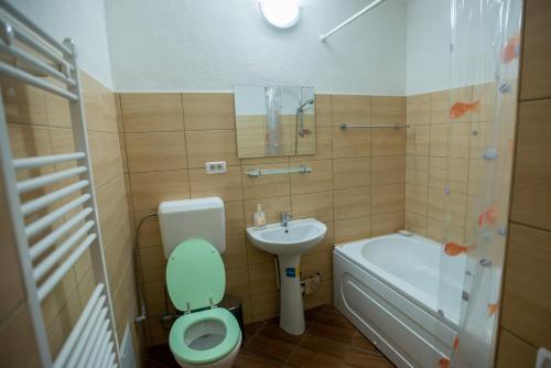 弗格拉什Gästehaus Fogarasch的浴室配有卫生间、盥洗盆和浴缸。