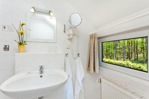 萨斯尼茨Restaurant & Hotel Baumhaus Hagen的白色的浴室设有水槽和窗户。