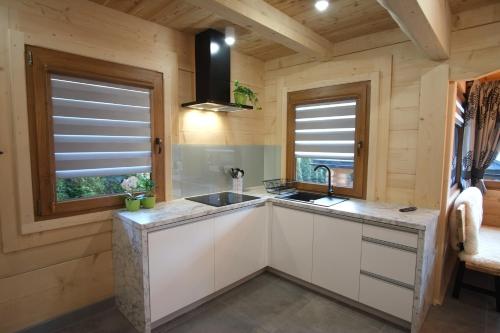 苏凯Domek & Apartament Na Ogrodzie的带水槽的厨房和2扇窗户