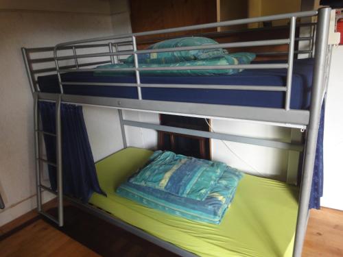 赫尔蒙德弗兰克青年旅舍的双层床的下铺配有枕头