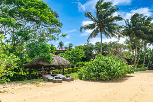 马太椰林海滨小屋度假村的海滩上设有椅子和草伞,棕榈树