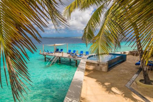 克拉伦代克The Bellafonte - Luxury Oceanfront Hotel的海洋中的码头,有椅子和棕榈树