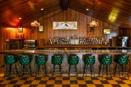 纳什维尔The Dive Motel and Swim Club的一间酒吧,在一间房间里设有绿色的酒吧凳子