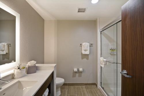 锡布鲁克Holiday Inn Express & Suites - Houston NASA - Boardwalk Area, an IHG Hotel的浴室配有卫生间、盥洗盆和淋浴。