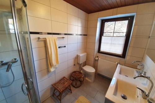 韦希瑟尔山麓基希贝格Ferienhaus zur alten Gärtnerei的一间带水槽、卫生间和淋浴的浴室