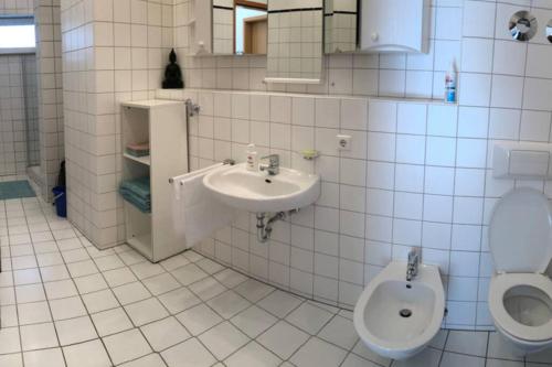 布拉河畔的海登海姆Premium Penthouse Wohnung mit Schlossblick Zentral in Heidenheim mit Tiefgarage的一间带水槽和卫生间的浴室