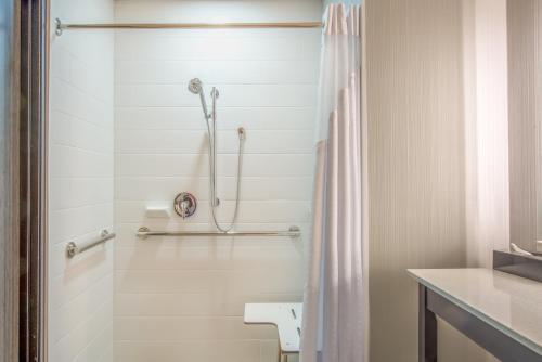 肖尼肖尼智选假日酒店的带淋浴和卫生间的白色浴室