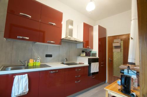 佩尔吉内瓦尔苏加纳Al Maset di TSS' - Green Apartament - Zona Living Spaziosa - Perfetto per Famiglie Numerose a Pergine Valsugana的一间带红色橱柜和水槽的厨房